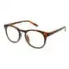 GL2222_Holborn_Tortoiseshell_Side-1 +1.00 Reading Glasses | Tortoise Shell | Holborn