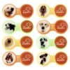 Contact Lens Case Dog Design